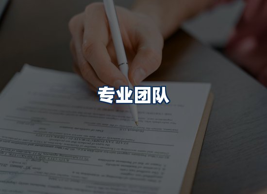 专业团队
