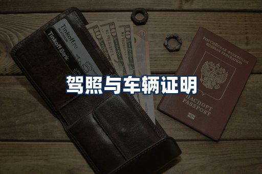 车辆证明展示